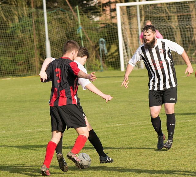 入主要来自 入主要来自