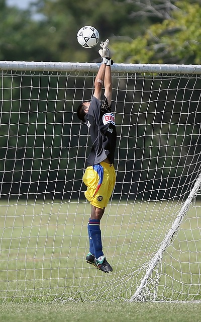 弹性假动作 弹性假动作