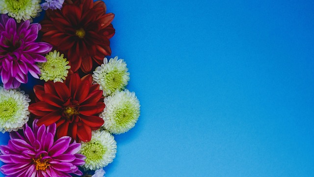 只会让球迷 只会让球迷